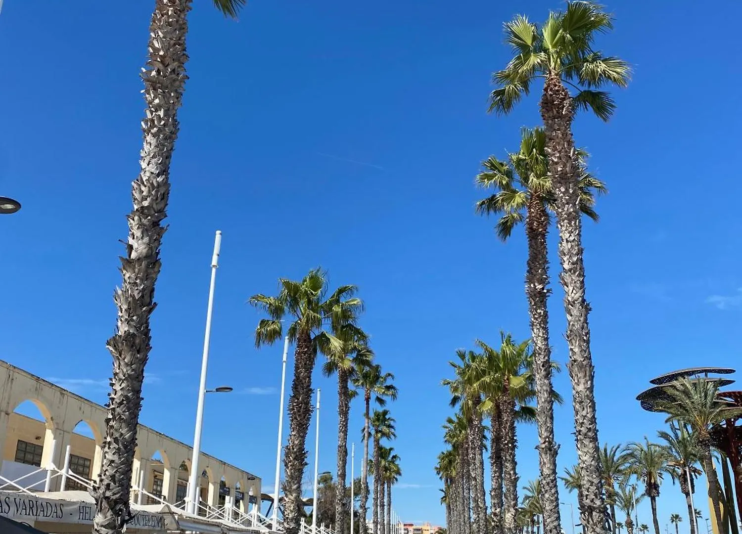Apartment Sun&Beach Lovers 12019 La Pineda Spanien